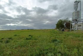 Foto 8