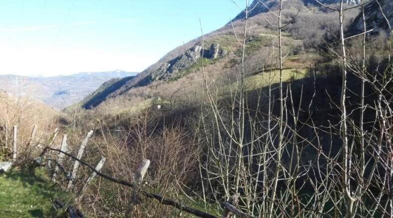 Asturias - Pola de Lena - 6429m2