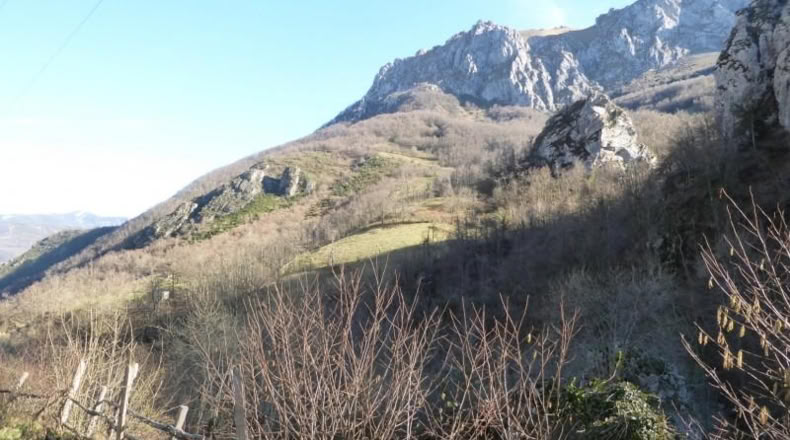 Asturias - Pola de Lena - 6429m2