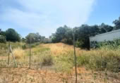Terreny no urbanitzable en venda a la España, El Ronquillo, ref.: TR271676 foto