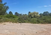 Terreny no urbanitzable en venda a la España, la Vall d'Alba, ref.: TR312010 foto