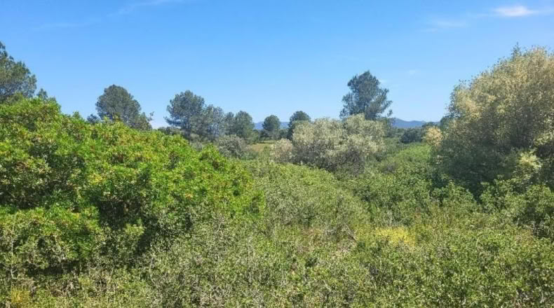 Castellon - Vall d'Alba - 19959m2