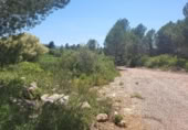 Terreny no urbanitzable en venda a la España, la Vall d'Alba, ref.: TR312010 foto
