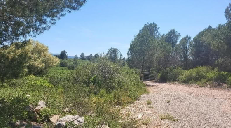 Castellon - Vall d'Alba - 19959m2
