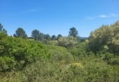 Terreny no urbanitzable en venda a la España, la Vall d'Alba, ref.: TR312010 foto