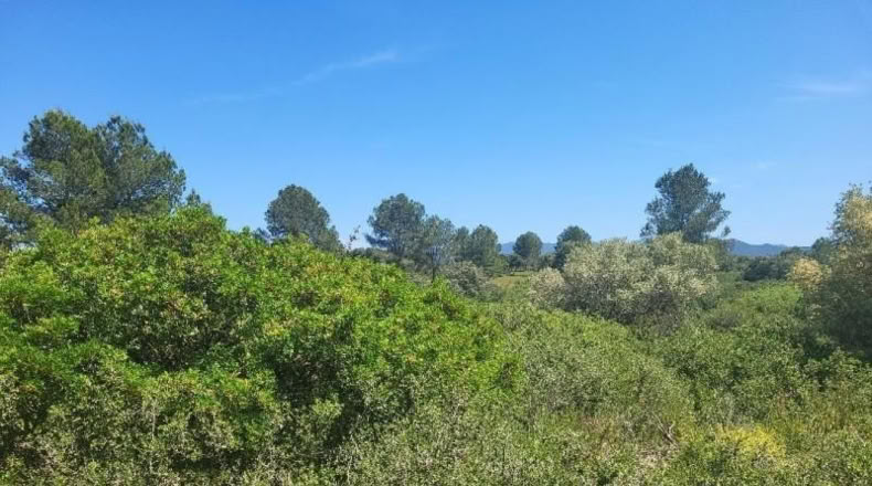 Castellon - Vall d'Alba - 19959m2