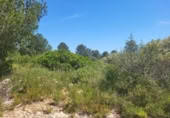 Terreny no urbanitzable en venda a la España, la Vall d'Alba, ref.: TR312010 foto