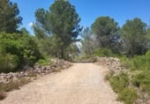 Terreny no urbanitzable en venda a la España, la Vall d'Alba, ref.: TR312010 foto