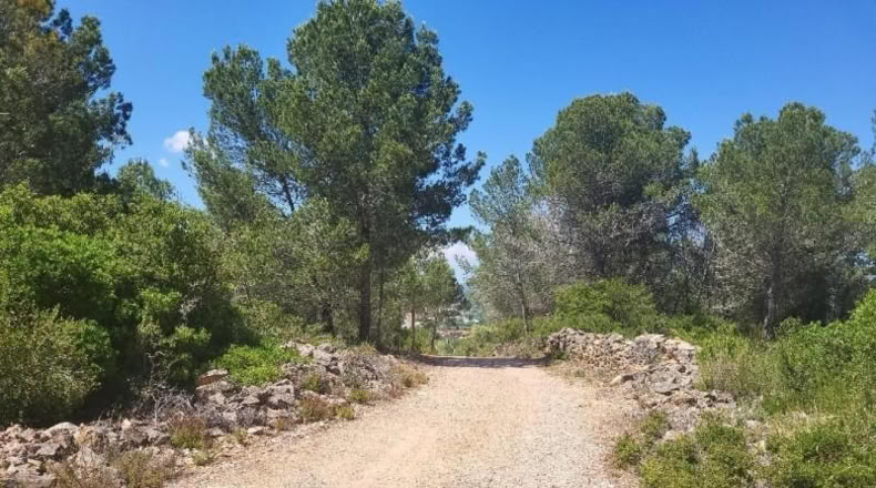 Castellon - Vall d'Alba - 19959m2
