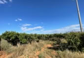 Terreno no urbanizable en venta en la España, Benimodo, ref: TR320565 foto
