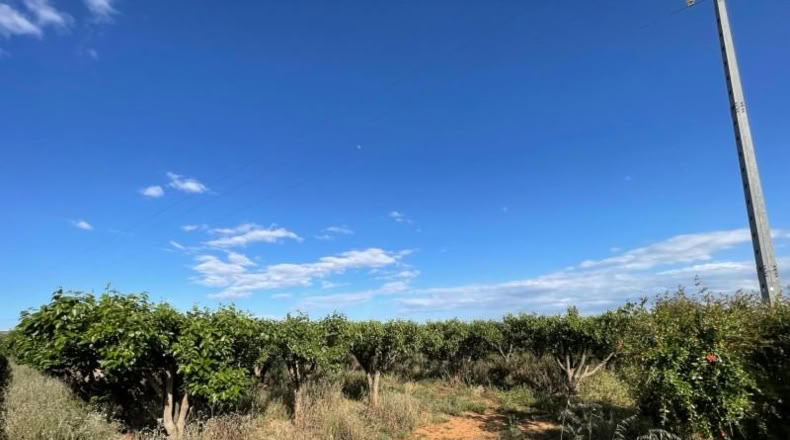 Valencia - Benimodo - 2042m2