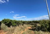 Terreno no urbanizable en venta en la España, Benimodo, ref: TR320565 foto