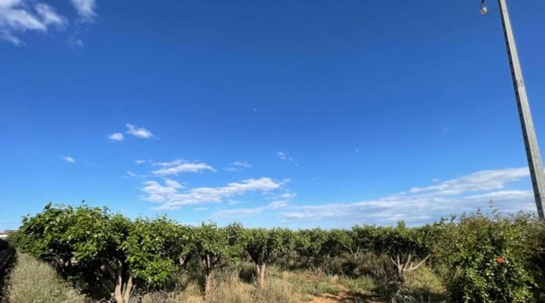 Valencia - Benimodo - 2042m2