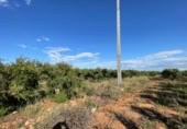 Terreno no urbanizable en venta en la España, Benimodo, ref: TR320565 foto