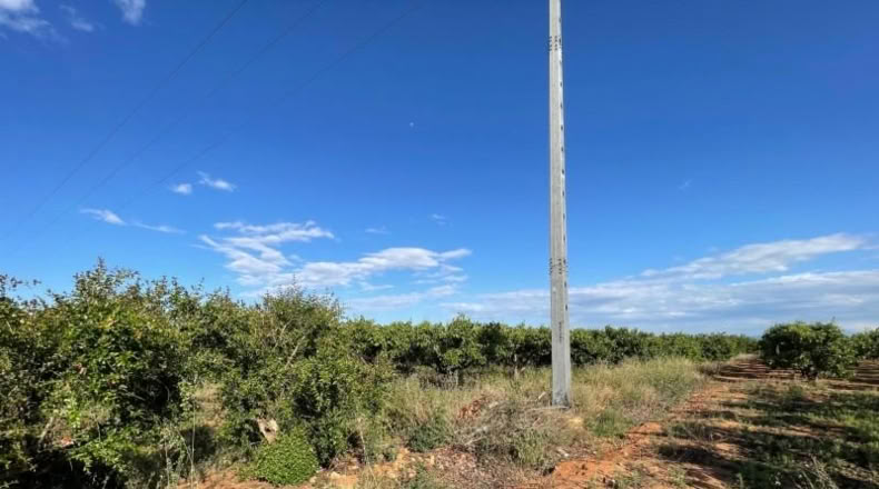 Valencia - Benimodo - 2042m2
