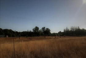 Almonte 8500&nbsp;m²