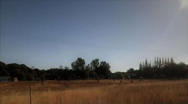 Huelva - Almonte - 8500m2