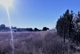 Almonte 8500&nbsp;m²