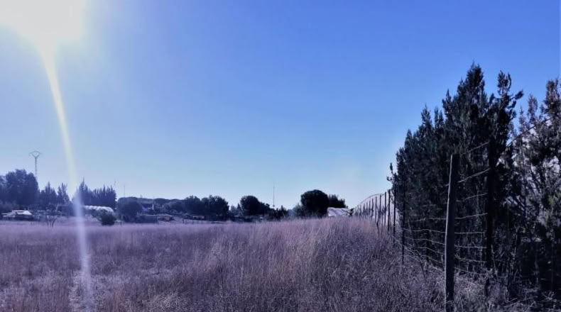 Huelva - Almonte - 8500m2