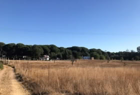 Almonte 8500&nbsp;m²
