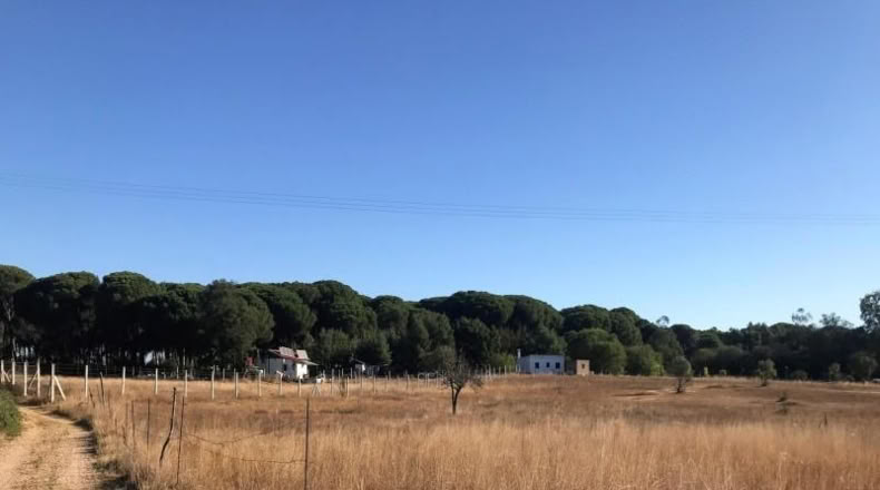 Huelva - Almonte - 8500m2