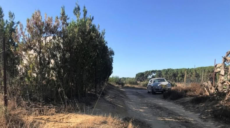 Huelva - Almonte - 8500m2