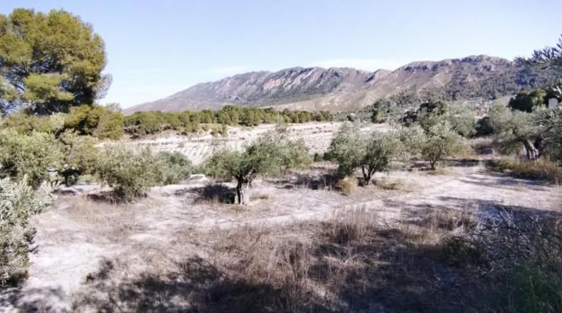 Múrcia - Calasparra - 3300m2