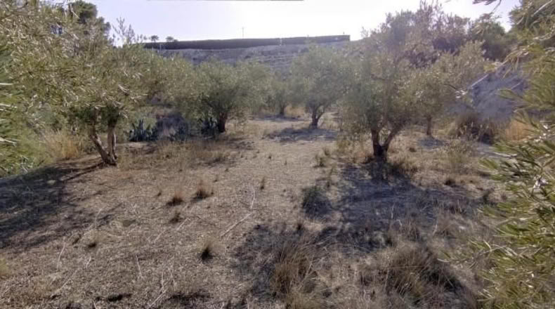 Múrcia - Calasparra - 3300m2
