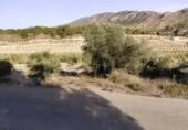 Terreny no urbanitzable en venda a la España, Calasparra, ref.: TR119462 foto