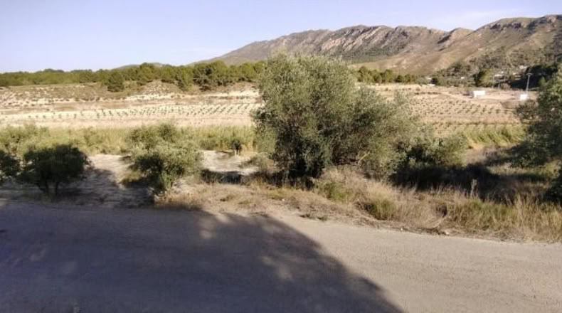 Múrcia - Calasparra - 3300m2