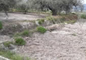 Terreny no urbanitzable en venda a la España, Moratalla, ref.: TR143958 foto