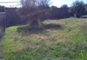 Urban land for sale on España, Valdefuentes, ref: TR116525 photo