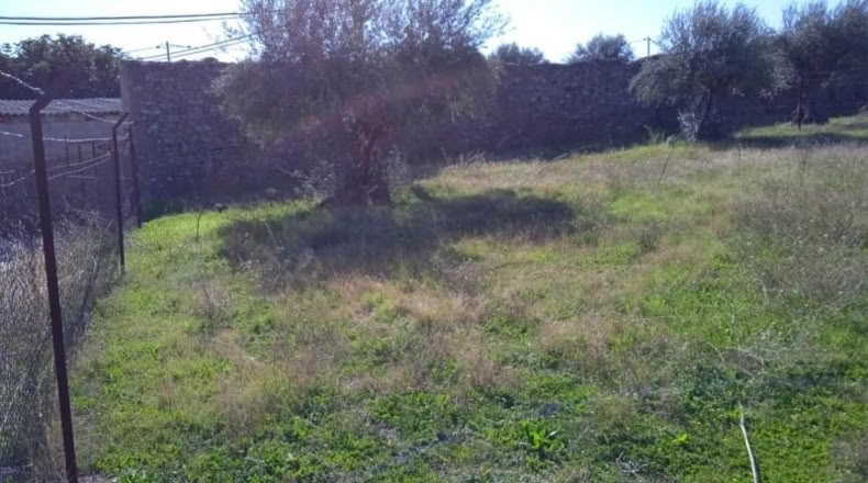 Cáceres - Valdefuentes - 400m2