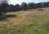 Urban land for sale on España, Valdefuentes, ref: TR116525 photo