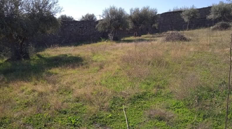 Cáceres - Valdefuentes - 400m2