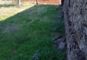 Urban land for sale on España, Valdefuentes, ref: TR116525 photo
