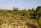 Terreny no urbanitzable en venda a la España, Llíria, ref.: TR115232 foto