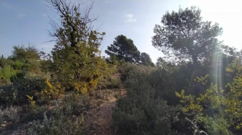 València - Liria - 3900m2