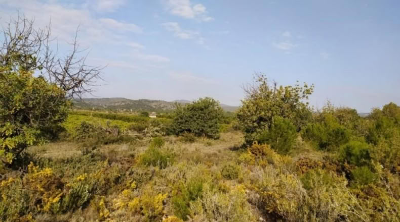 València - Liria - 3900m2