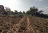Terreny no urbanitzable en venda a la España, Llíria, ref.: TR115232 foto