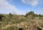 Terreny no urbanitzable en venda a la España, Llíria, ref.: TR115232 foto