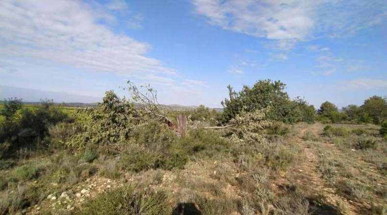 València - Liria - 3900m2