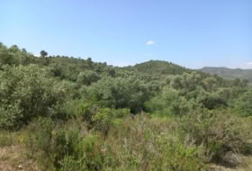 Miravet 10047&nbsp;m² 
