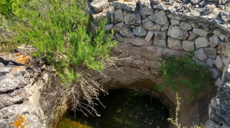 Tarragona - Miravet - 10047m2