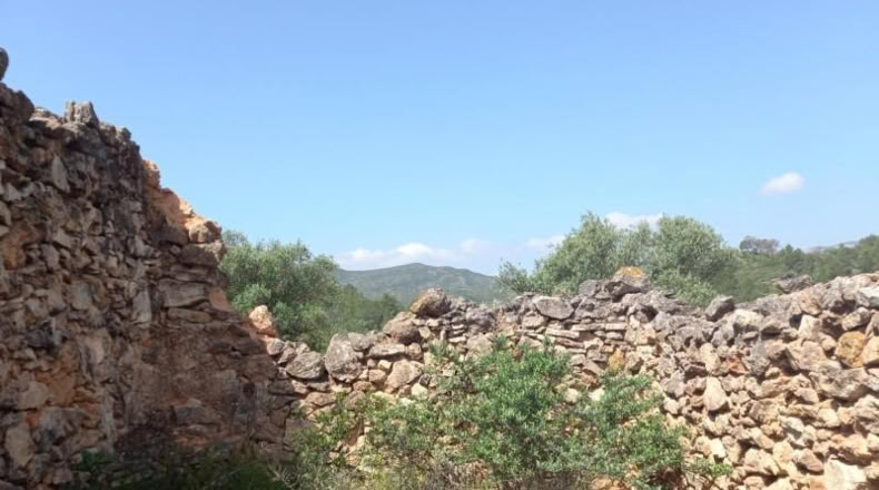 Tarragona - Miravet - 10047m2