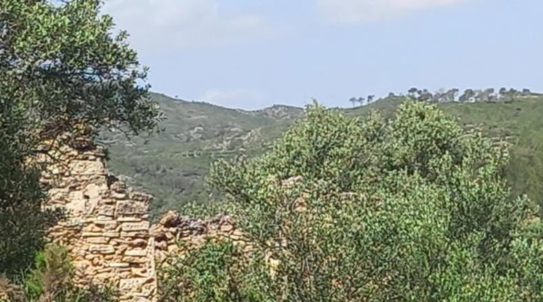 Tarragona - Miravet - 10047m2