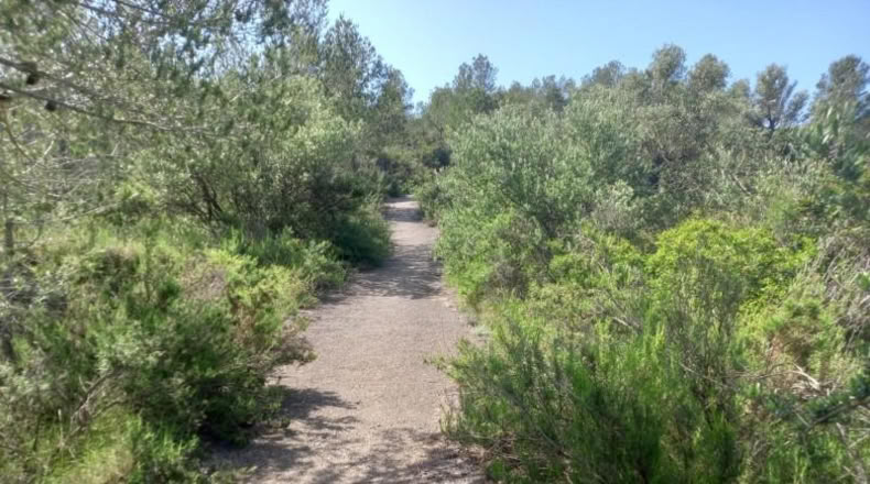 Tarragona - Miravet - 10047m2