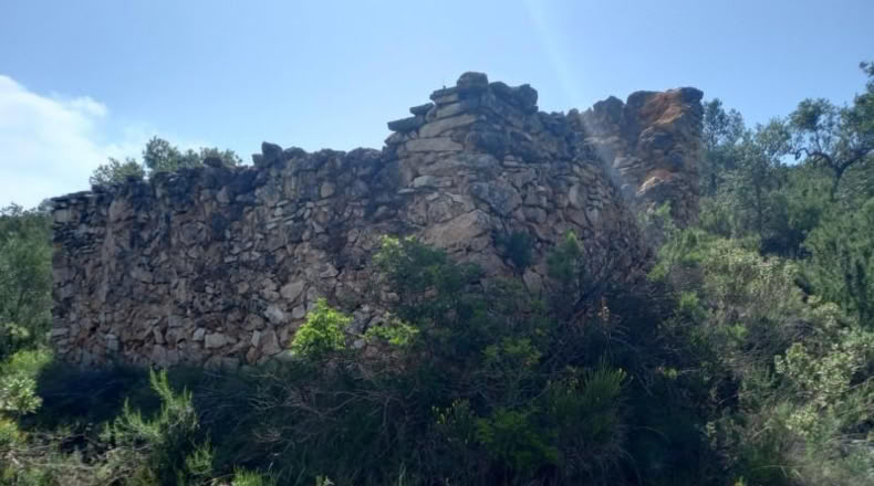 Tarragona - Miravet - 10047m2