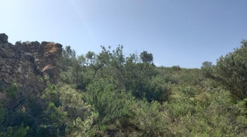 Tarragona - Miravet - 10047m2