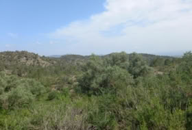 Miravet 10047&nbsp;m² 